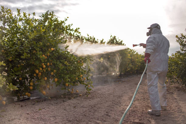 Pest Prevention Services in Felton, DE