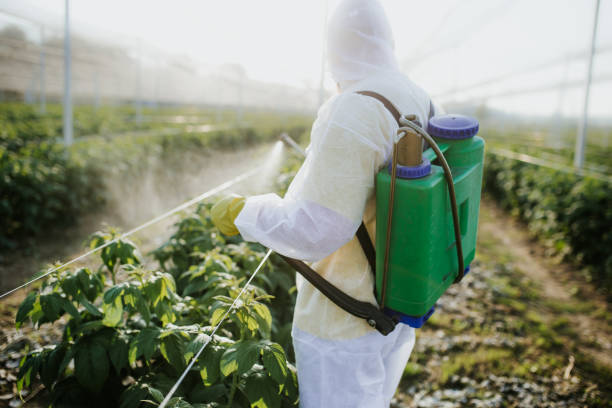 Best Pest Prevention Services  in Felton, DE